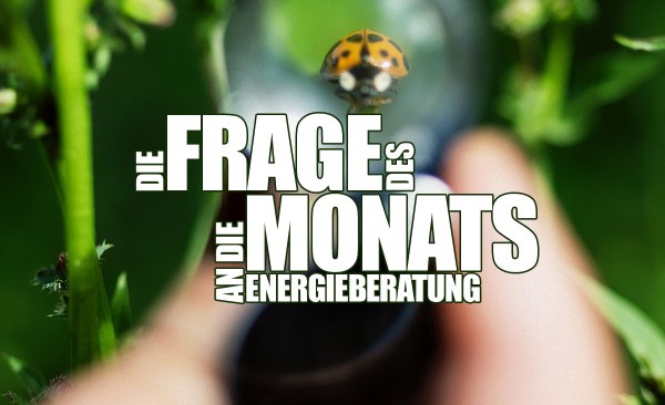 Lohnt sich der Einsatz von ökologischen Materialien beim Bauen?