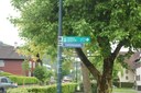 DSC_0163.JPG