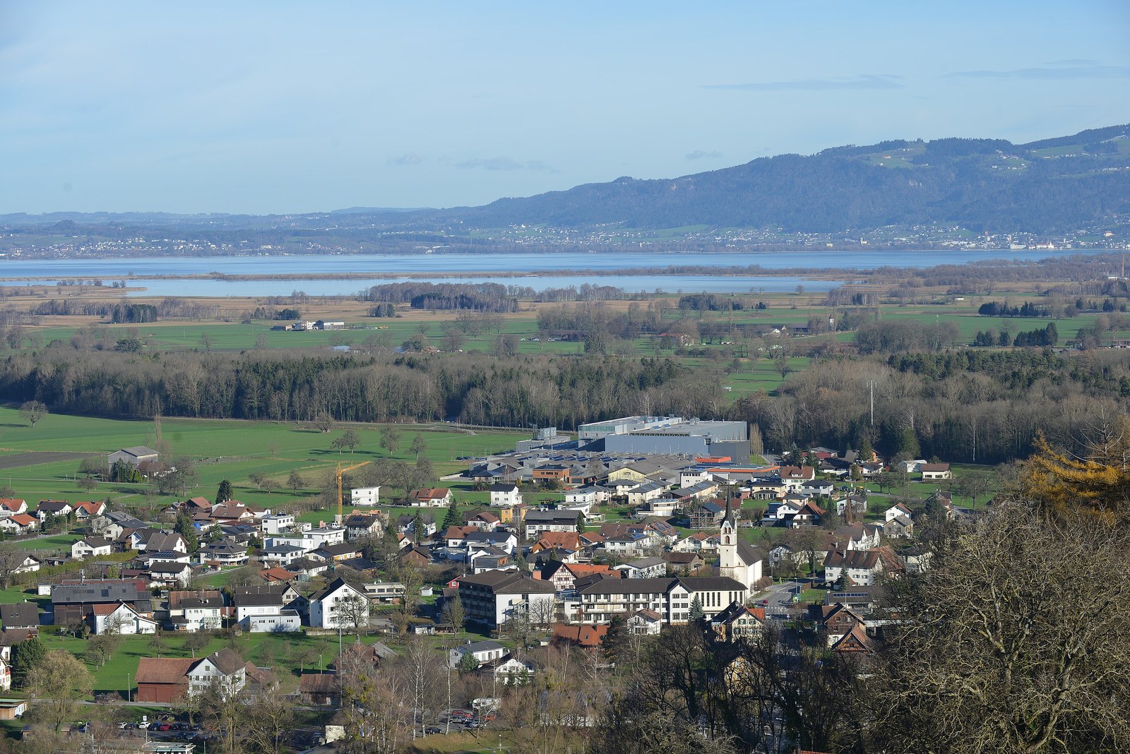 wiki (Böhringer)